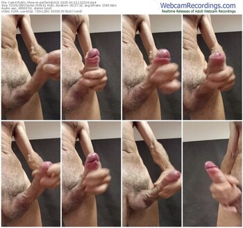 cam4-perfectdick21-04-22-2025-13-22-24