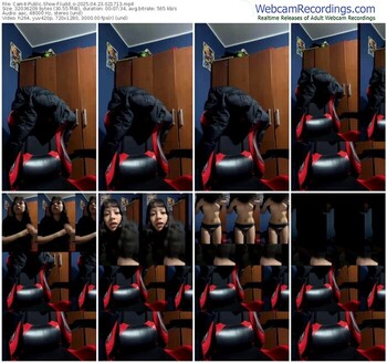 cam4-ludd_o-04-23-2025-02-17-13