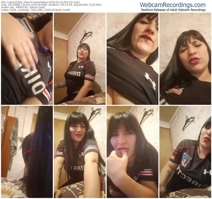 cam4-nooocllama-04-23-2025-04-27-21