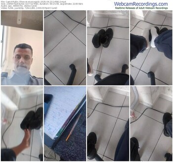 cam4-morcego01-04-23-2025-14-58-12