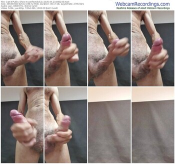 cam4-perfectdick21-04-23-2025-08-02-33