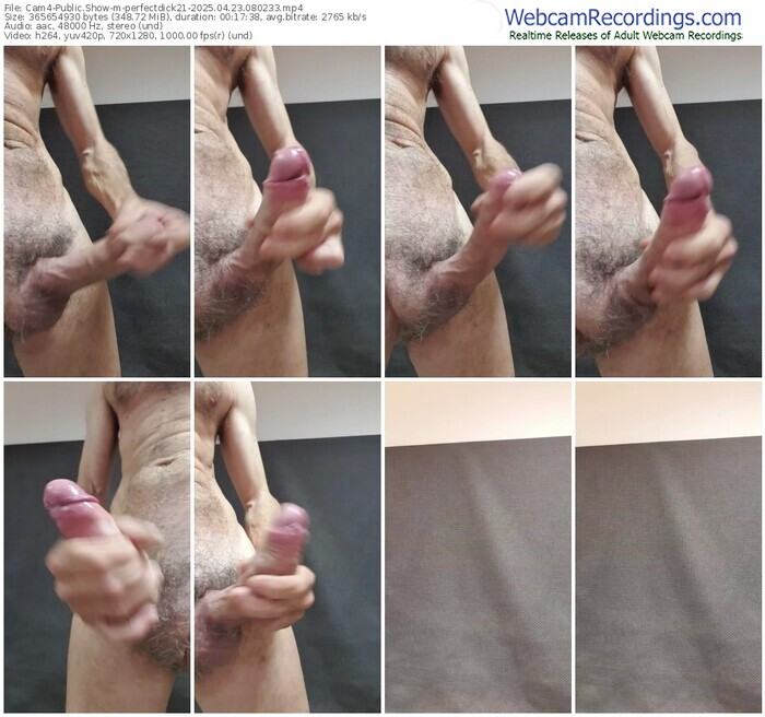 cam4-perfectdick21-04-23-2025-08-02-33
