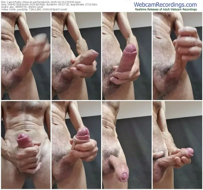 cam4-perfectdick21-04-23-2025-15-53-35