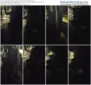cam4-pollen_07-04-23-2025-20-18-46