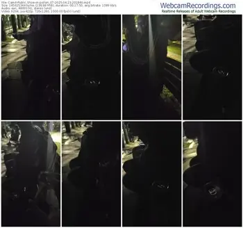 cam4-pollen_07-04-23-2025-20-18-46