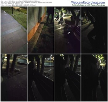 cam4-pollen_07-04-23-2025-20-37-23