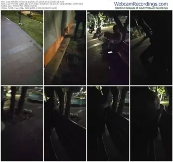 cam4-pollen_07-04-23-2025-20-37-23