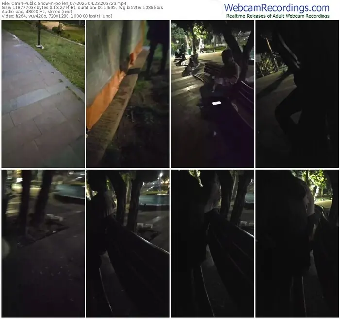 cam4-pollen_07-04-23-2025-20-37-23