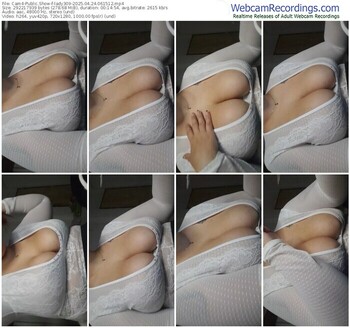 cam4-lady309-04-24-2025-06-15-12