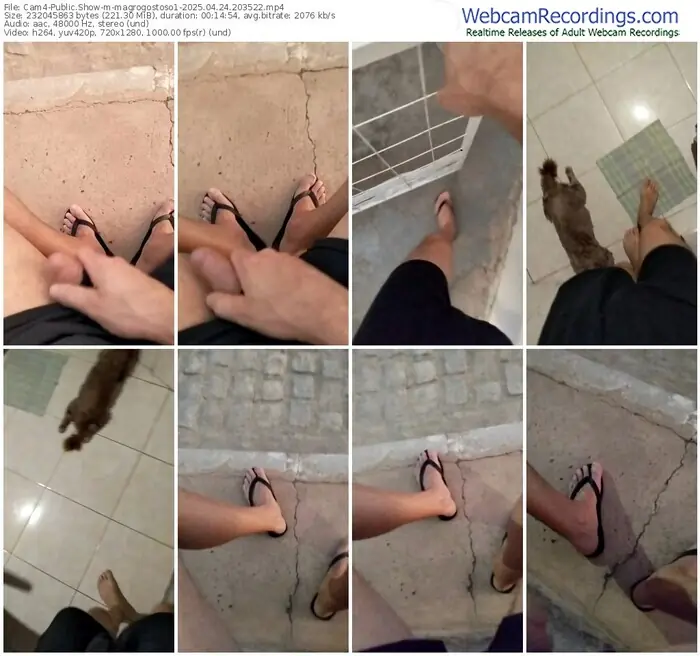 cam4-magrogostoso1-04-24-2025-20-35-22