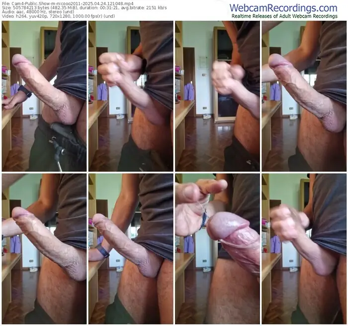 cam4-nicooo2011-04-24-2025-12-10-48