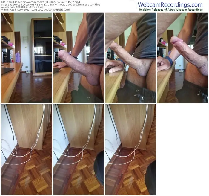 cam4-nicooo2011-04-24-2025-13-45-02