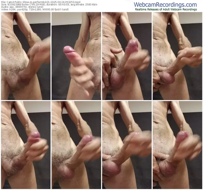 cam4-perfectdick21-04-24-2025-05-32-53