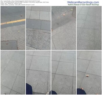 cam4-multi0rgasmik-04-25-2025-19-47-15