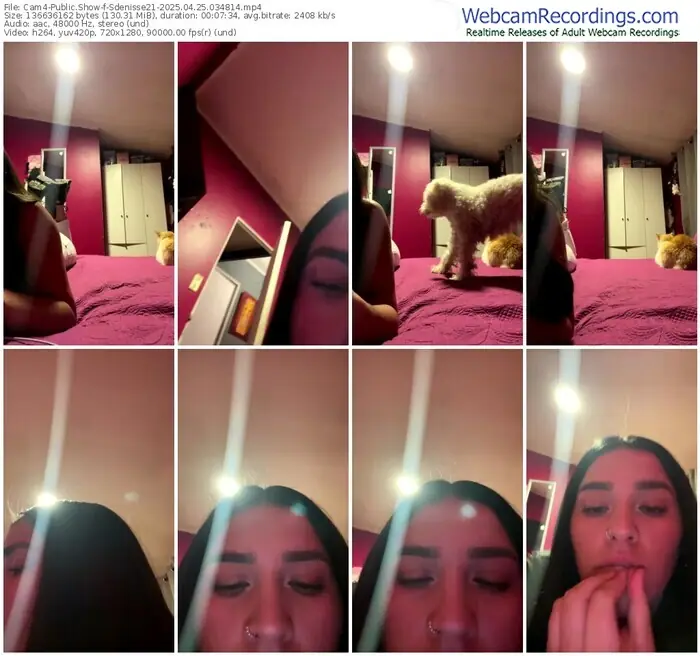 cam4-sdenisse21-04-25-2025-03-48-14