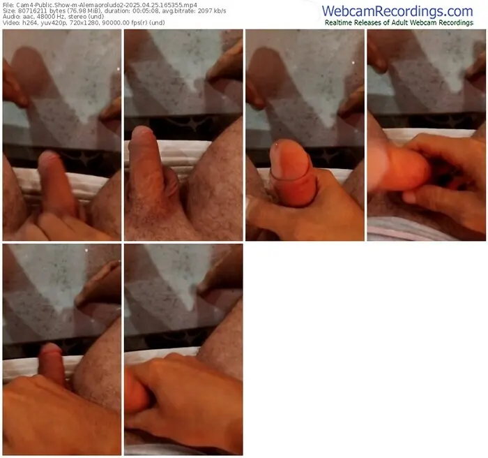 cam4-alemaoroludo2-04-25-2025-16-53-55