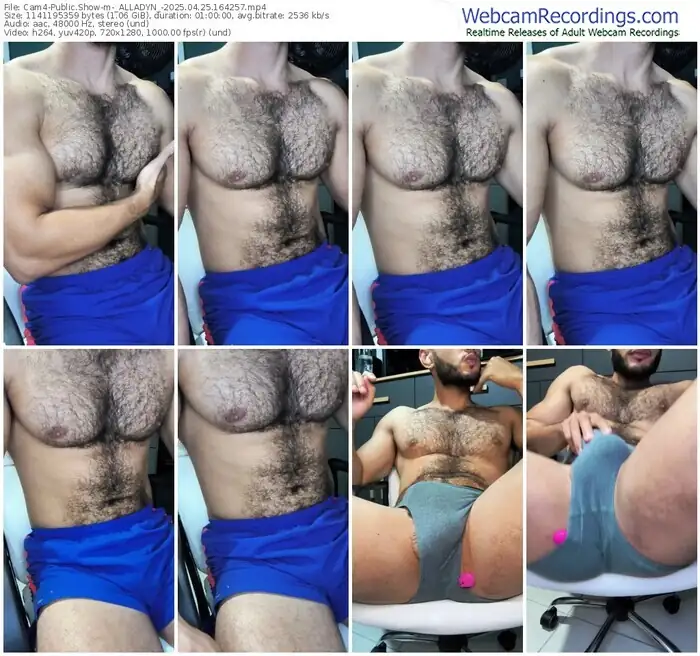 cam4-_alladyn_-04-25-2025-16-42-57