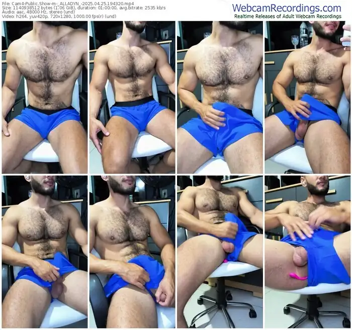 cam4-_alladyn_-04-25-2025-19-43-20