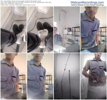 cam4-morcego01-04-25-2025-10-31-11