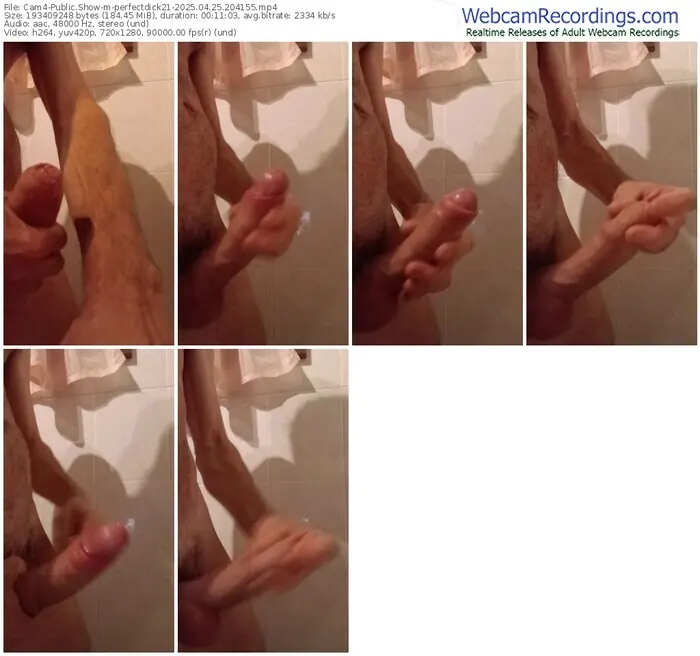 cam4-perfectdick21-04-25-2025-20-41-55