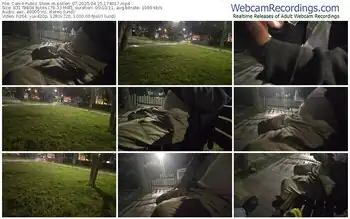 cam4-pollen_07-04-25-2025-17-40-17