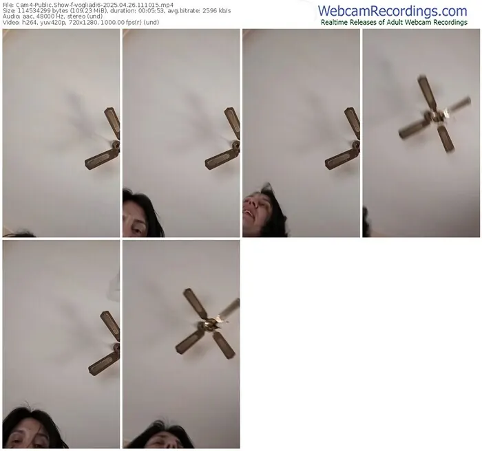 cam4-vogliadi6-04-26-2025-11-10-15