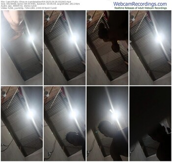 cam4-ivandotadow454-04-26-2025-03-29-42