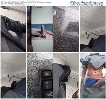 cam4-morcego01-04-27-2025-18-47-04