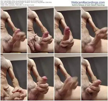 cam4-perfectdick21-04-27-2025-16-46-04