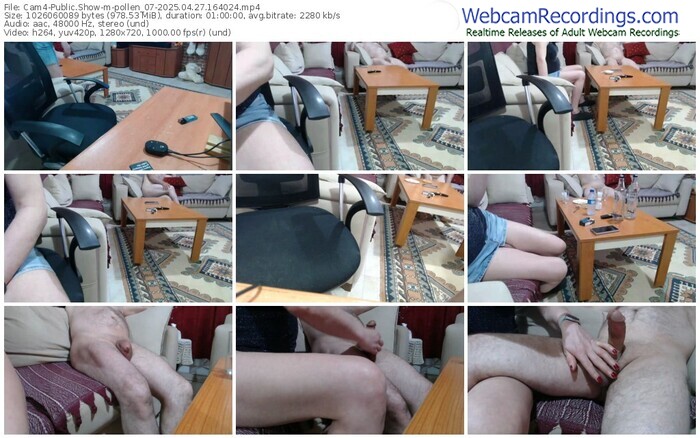 cam4-pollen_07-04-27-2025-16-40-24