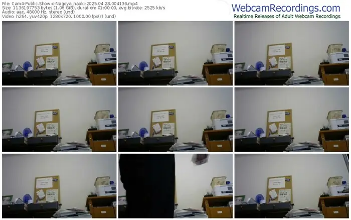 cam4-nagoya_naoki-04-28-2025-00-41-36