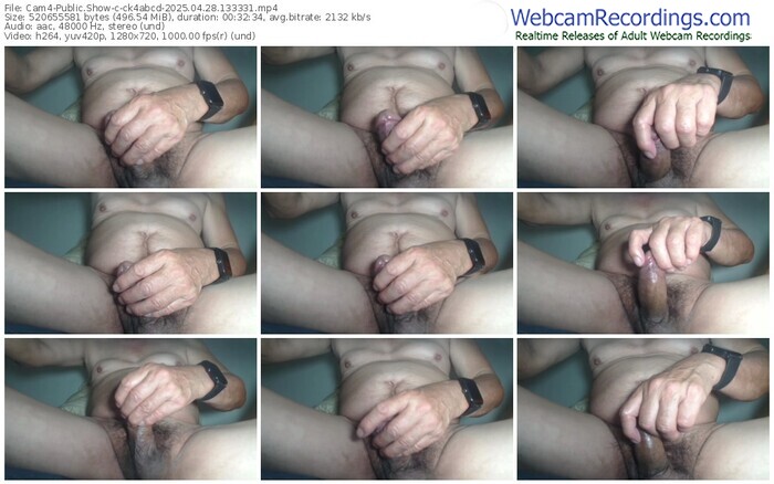 cam4-ck4abcd-04-28-2025-13-33-31