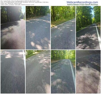 cam4-lareginanera-04-28-2025-07-43-17