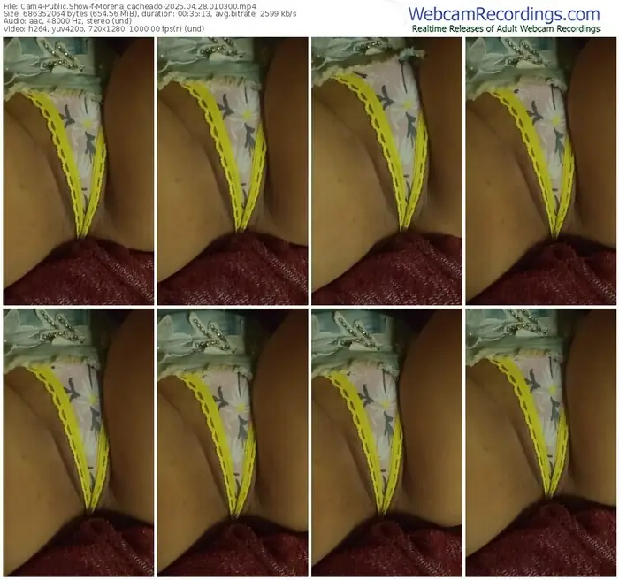 cam4-morena_cacheado-04-28-2025-01-03-00