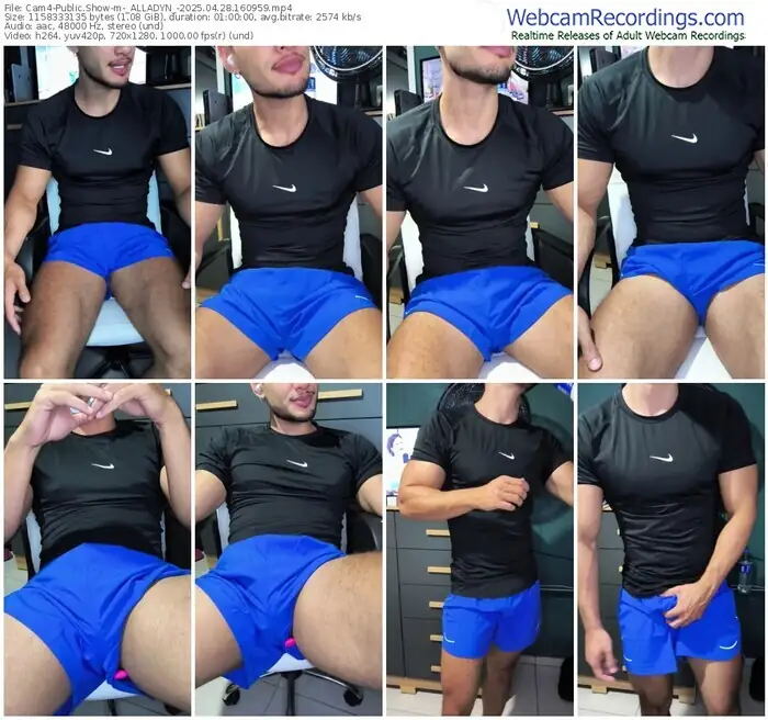 cam4-_alladyn_-04-28-2025-16-09-59