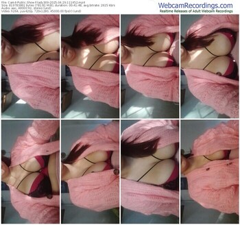 cam4-lady309-04-29-2025-11-14-52