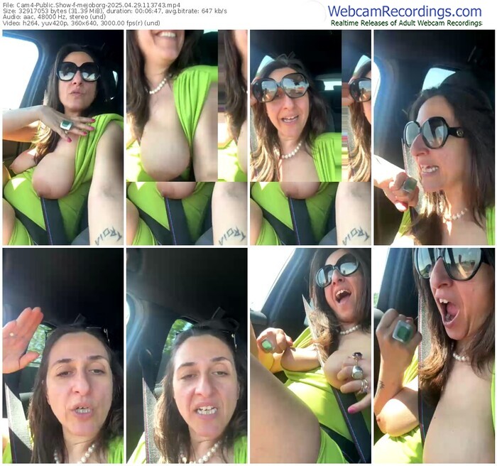 cam4-mejoborg-04-29-2025-11-37-43