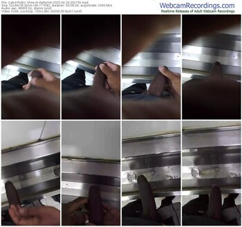 cam4-rafachel-04-29-2025-20-27-55