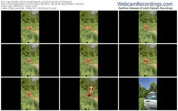 cam4-darksecret_lar-04-29-2025-13-33-38