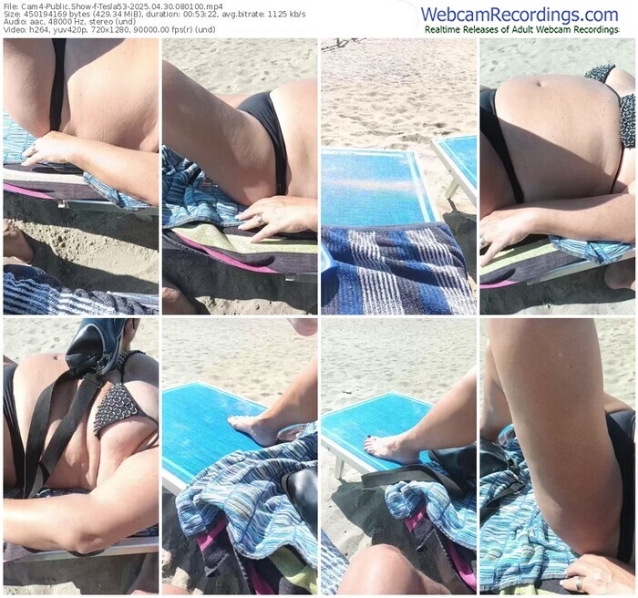 cam4-tesla53-04-30-2025-08-01-00