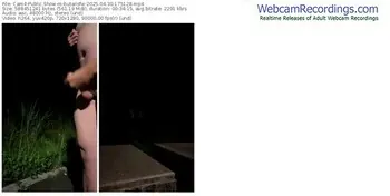 cam4-butansfw-04-30-2025-17-51-28