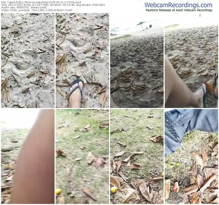 cam4-gatonota-05-01-2025-17-27-05