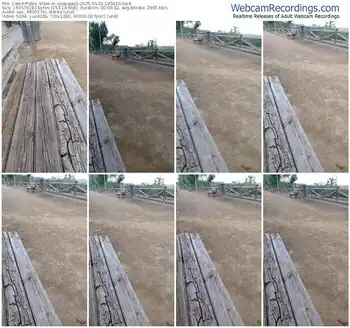 cam4-osopajas2-05-01-2025-18-56-10