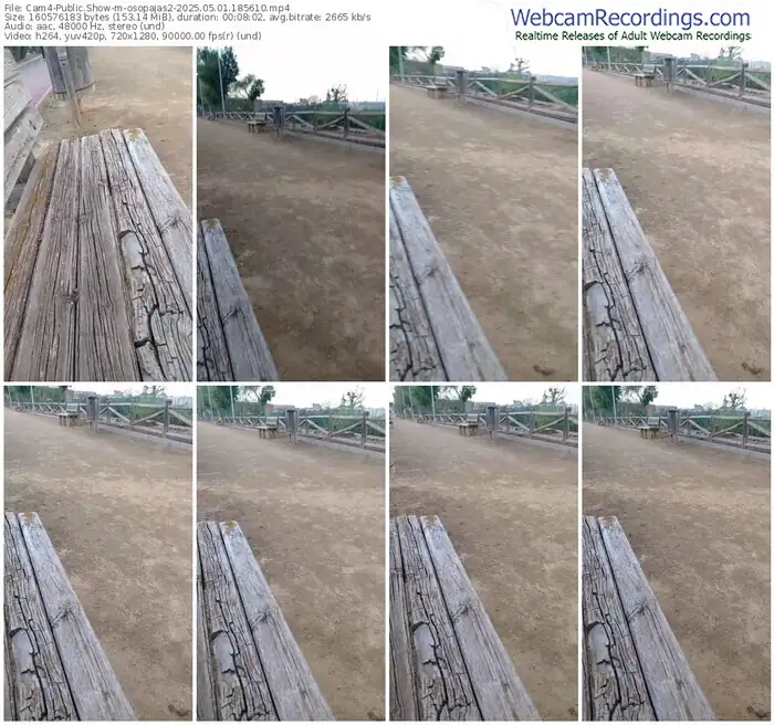 cam4-osopajas2-05-01-2025-18-56-10