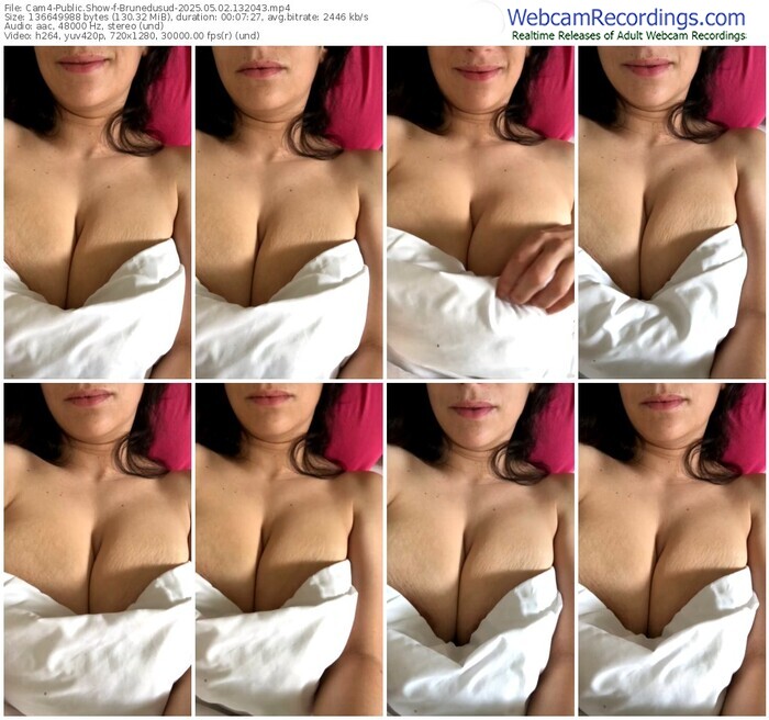 cam4-brunedusud-05-02-2025-13-20-43