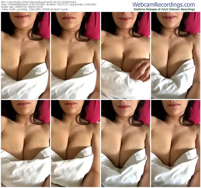 cam4-brunedusud-05-02-2025-13-20-43