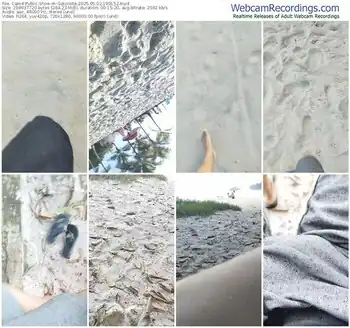 cam4-gatonota-05-02-2025-19-01-52