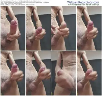 cam4-perfectdick21-05-02-2025-05-11-45