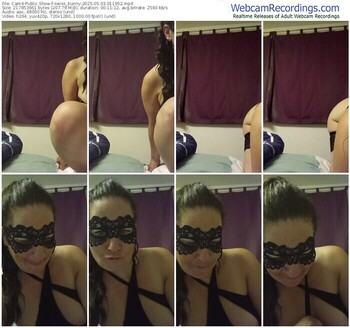 cam4-swiss_bunny-05-03-2025-01-19-52