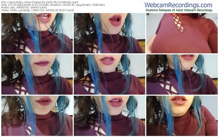 cam4-totem45-05-03-2025-08-33-41